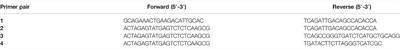 Myosin 5a in the Urinary Bladder: Localization, Splice Variant Expression, and Functional Role in Neurotransmission